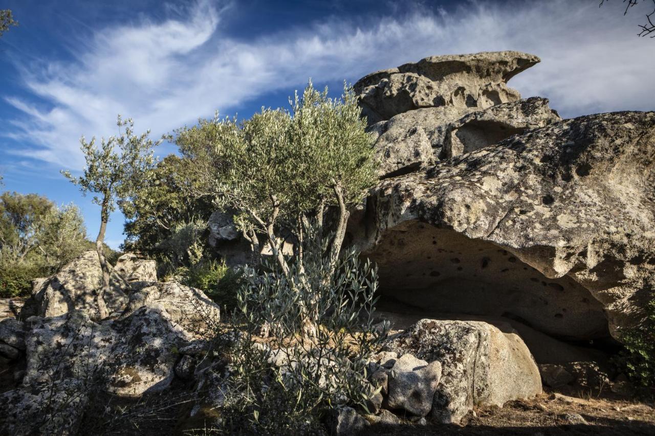 Gallicantu Stazzo Retreat Luogosanto Eksteriør bilde