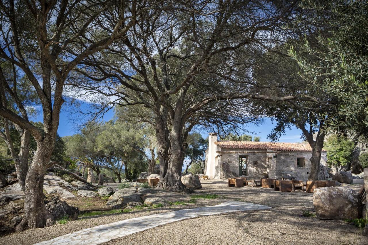 Gallicantu Stazzo Retreat Luogosanto Eksteriør bilde