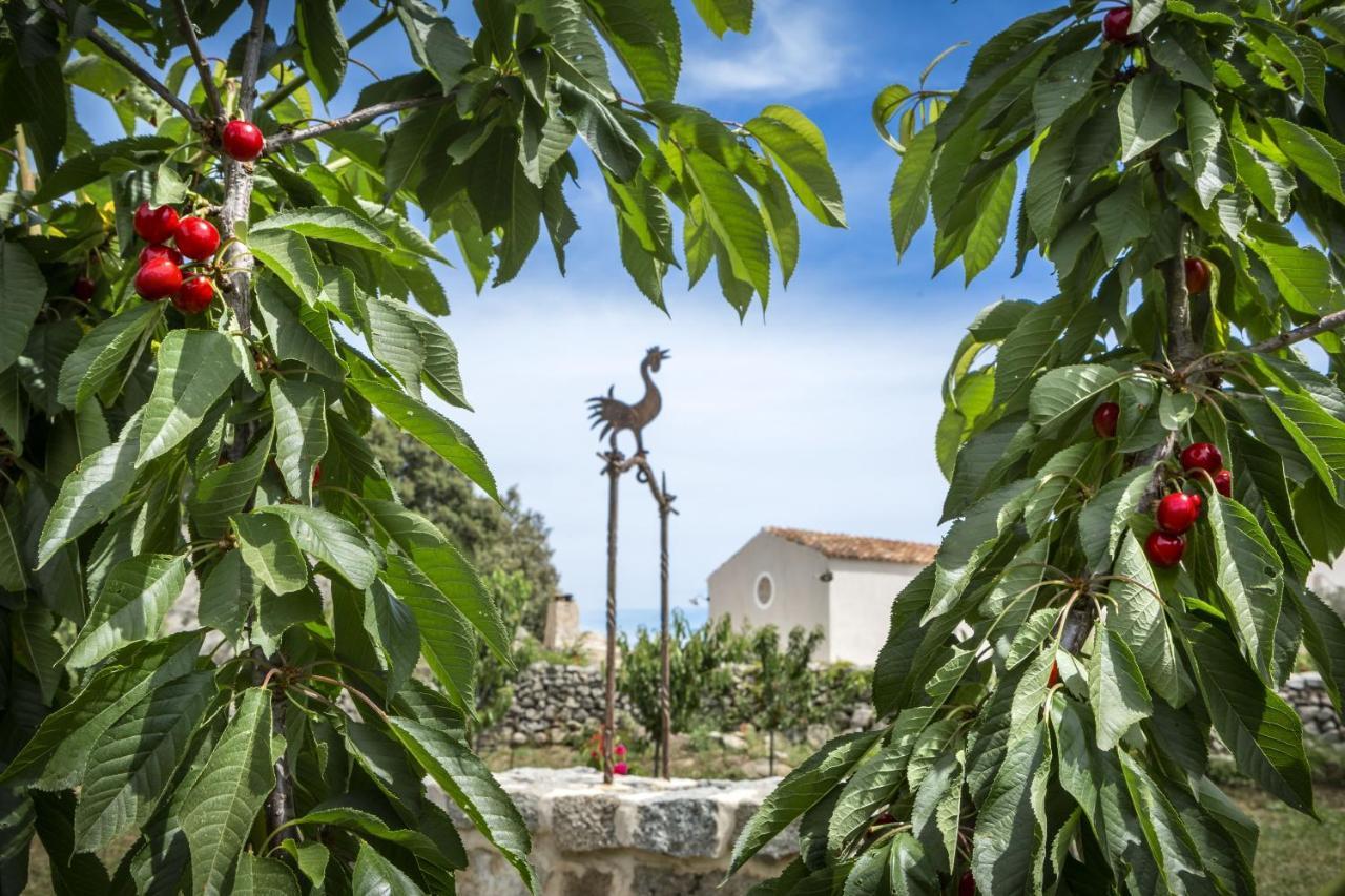 Gallicantu Stazzo Retreat Luogosanto Eksteriør bilde
